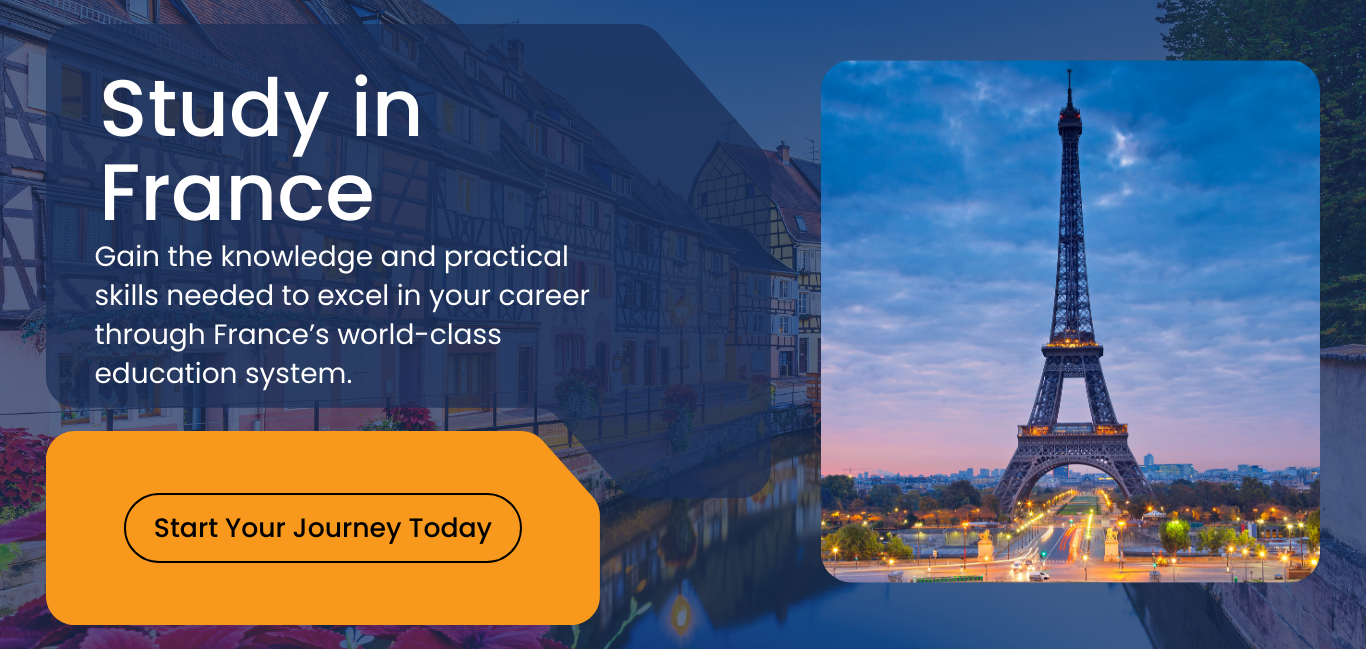 Study In France 1 - Aim Ladder