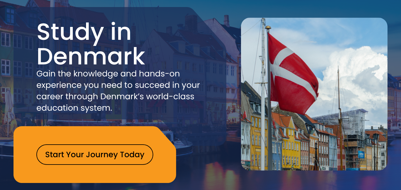 Study In Denmark 1 - Aim Ladder